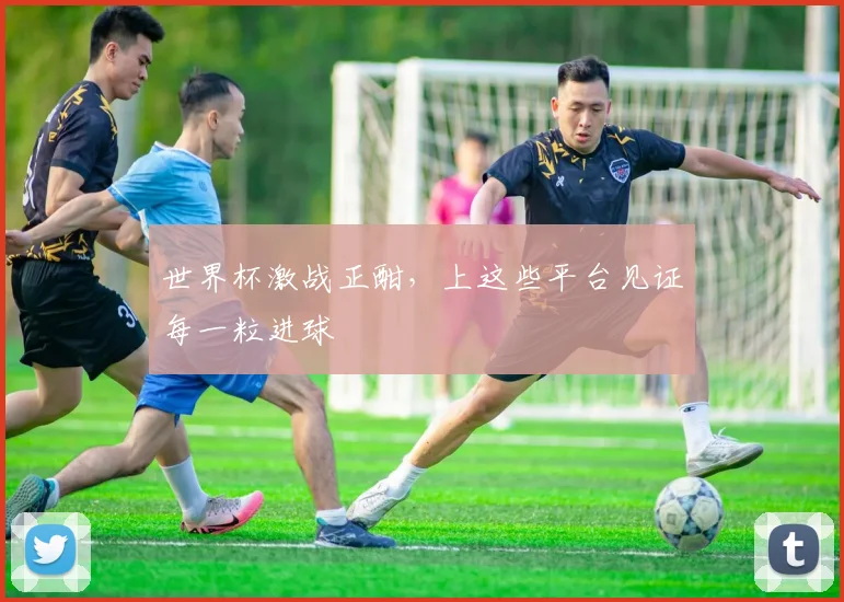 世界杯激战正酣,上这些平台见证每一粒进球