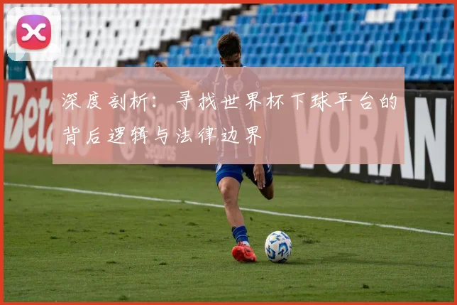 深度剖析:寻找世界杯下球平台的背后逻辑与法律边界
