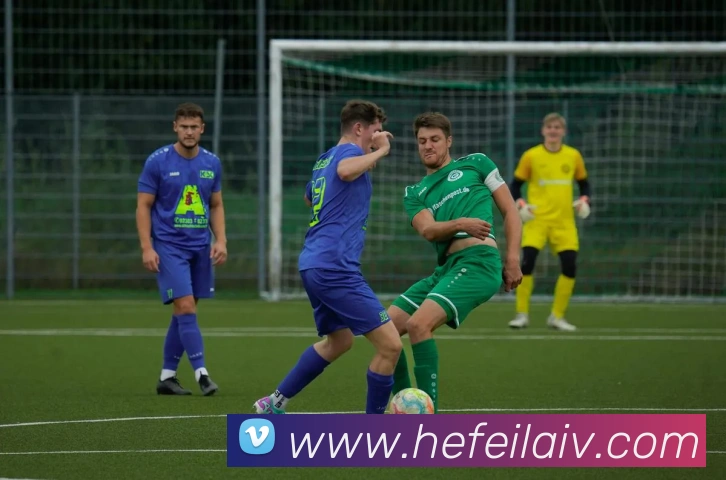 九游j9官网服务体系